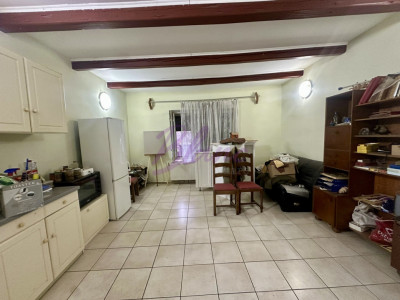 Proprietate mixtă de vânzare – locuință + hală – Tășnad, SM