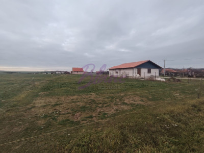 Teren intravilan in Marghita