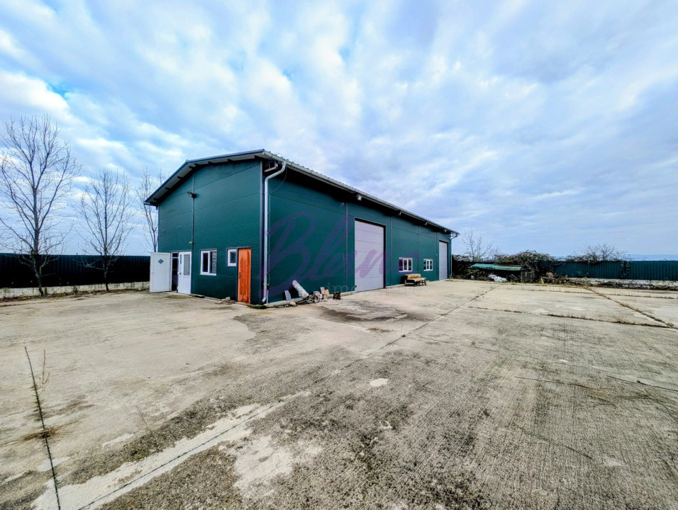 Hală de producție + casă de locuit, cu teren generos - in Hodiș, comuna Holod