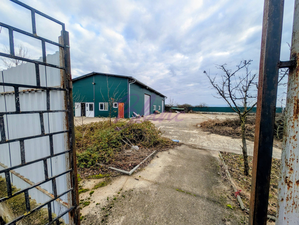 Hală de producție + casă de locuit, cu teren generos - in Hodiș, comuna Holod