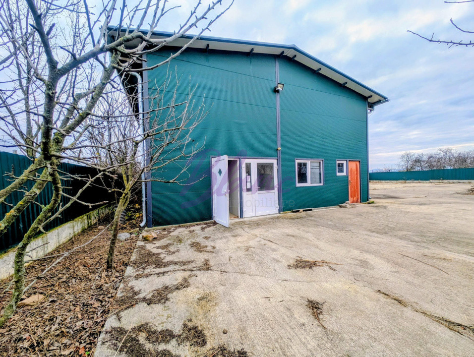 Hală de închiriat – Hodiș, comuna Holod