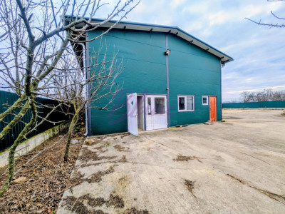 Hală de închiriat – Hodiș, comuna Holod