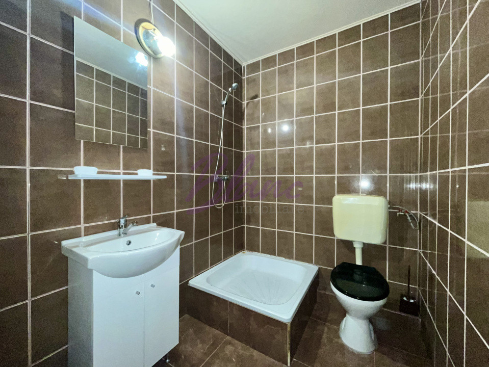 Apartament cu o cameră, curte comună, zona ultracentrală