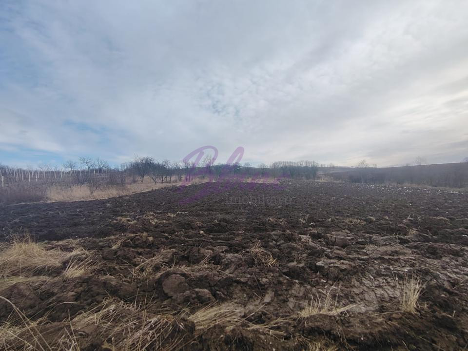 Casa de vanzare in Iteu Nou