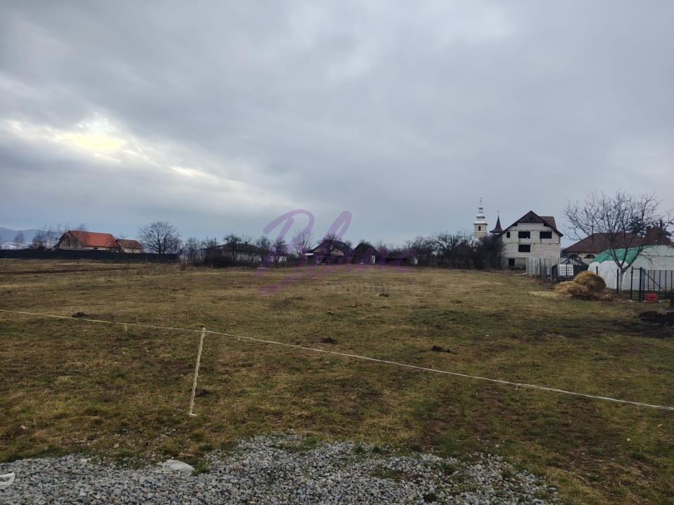 Teren INTRAVILAN in Suplacu de Barcau