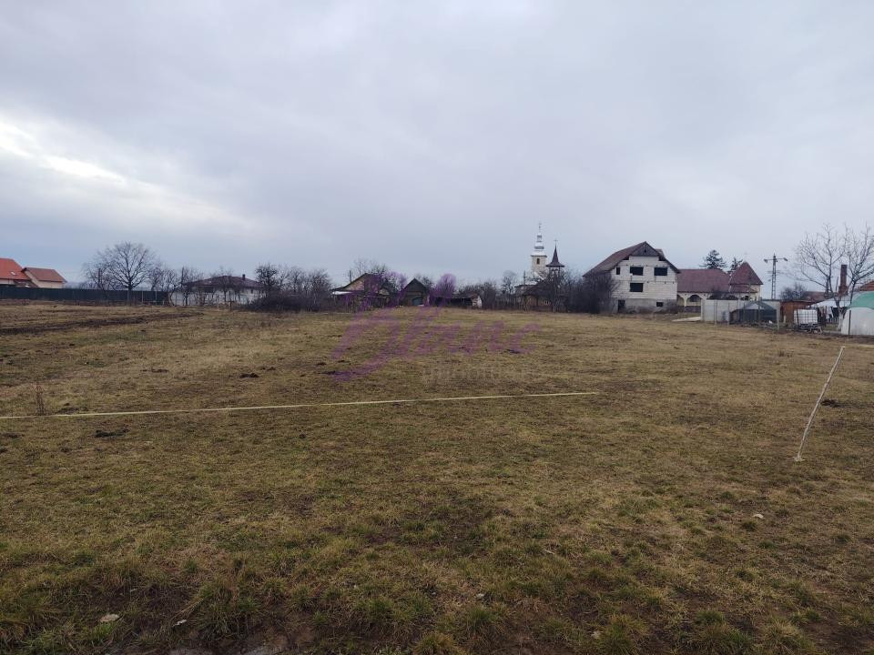 Teren INTRAVILAN in Suplacu de Barcau