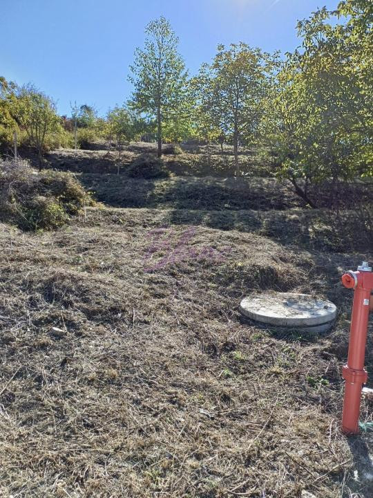 Teren intravilan 810 mp - Gheorge Doja, Oradea