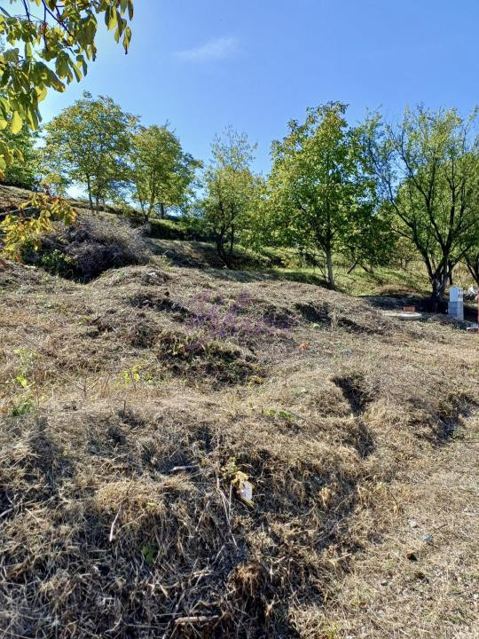 Teren intravilan 810 mp - Gheorge Doja, Oradea