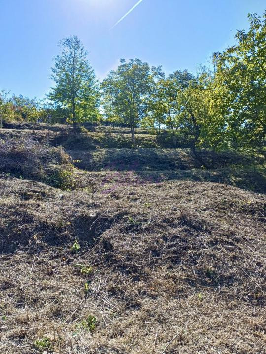 Teren intravilan 810 mp - Gheorge Doja, Oradea