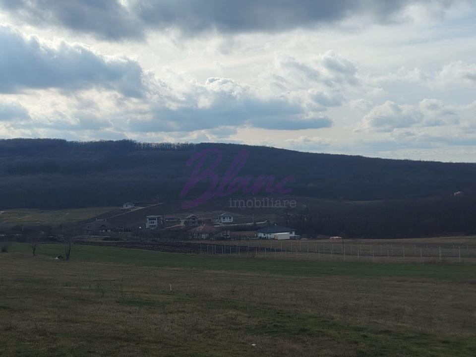 Teren intravilan in Betfia langa crater