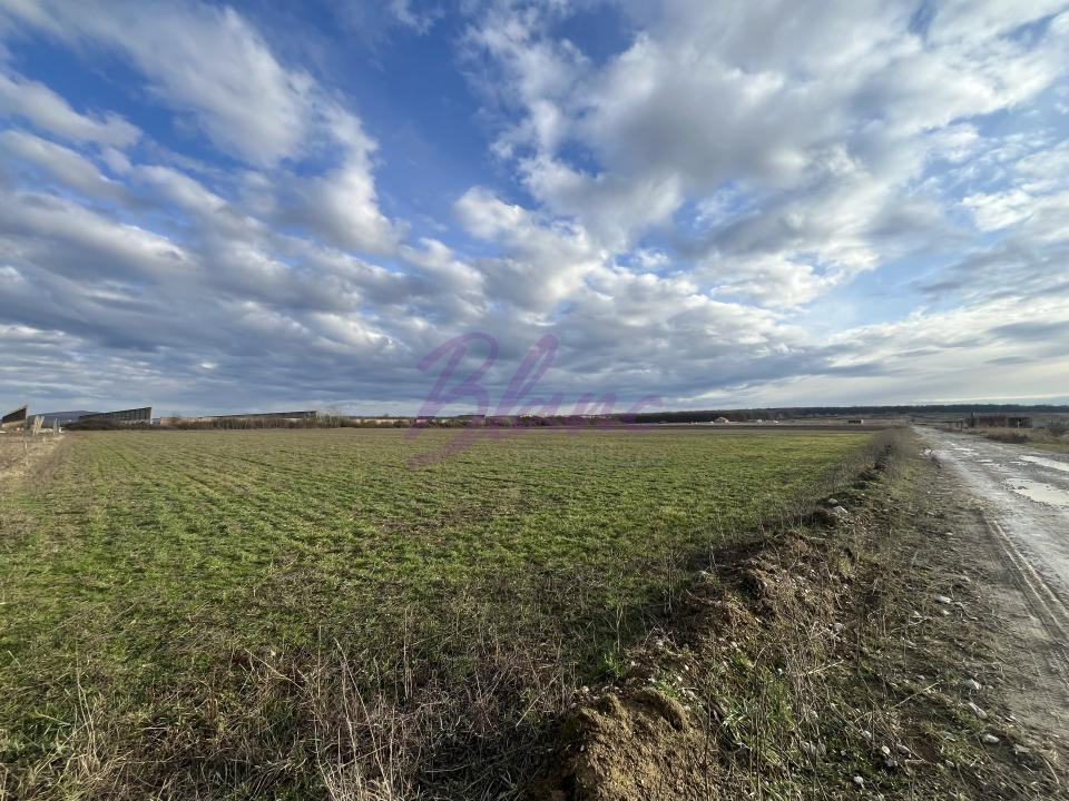 Oportunitate investitionala sau teren pretabil pentru constructii