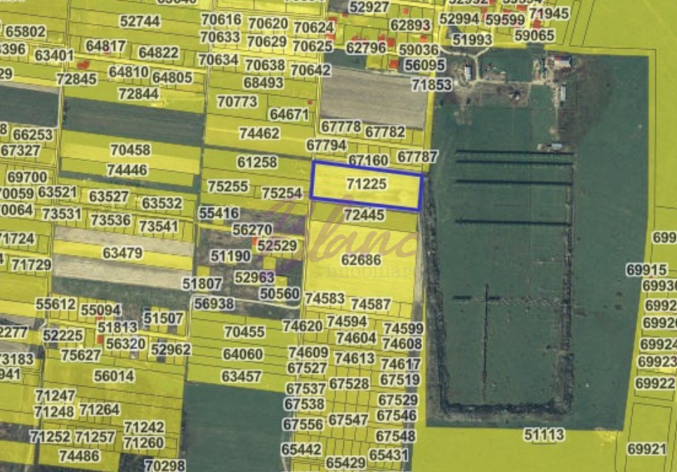Oportunitate investitionala sau teren pretabil pentru constructii