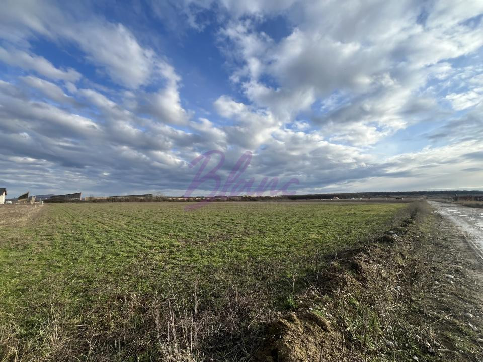 Oportunitate investitionala sau teren pretabil pentru constructii