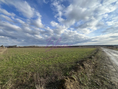 Oportunitate investitionala sau teren pretabil pentru constructii