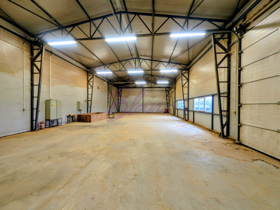 Hala de 250 mp cu un avantaj major la Hodis