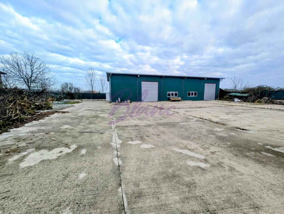 Hala de 250 mp cu un avantaj major la Hodis