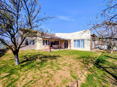 Casa unde copii cresc liberi: Povestea de pe strada Marin Sorescu