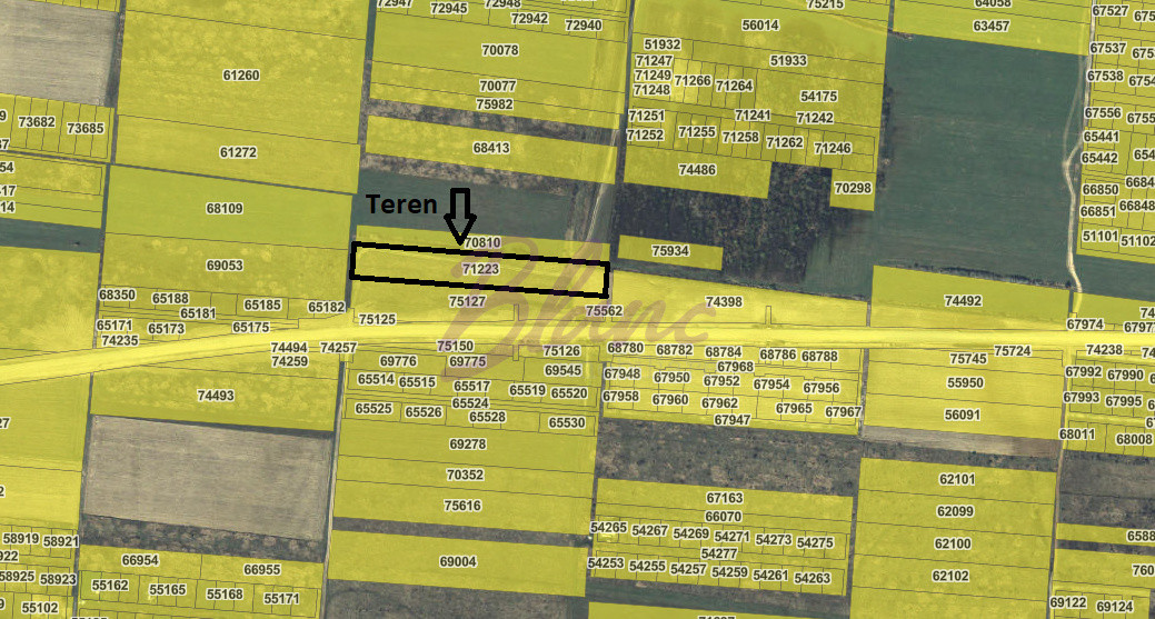 Teren 7481 mp, cu acces facil la Inelul Metropolitan