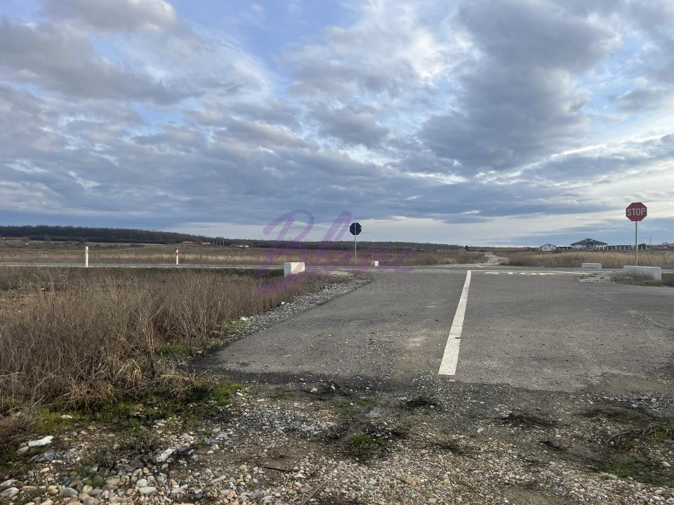 Teren 7481 mp, cu acces facil la Inelul Metropolitan