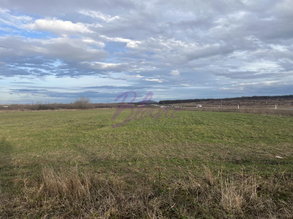 Teren 7481 mp, cu acces facil la Inelul Metropolitan