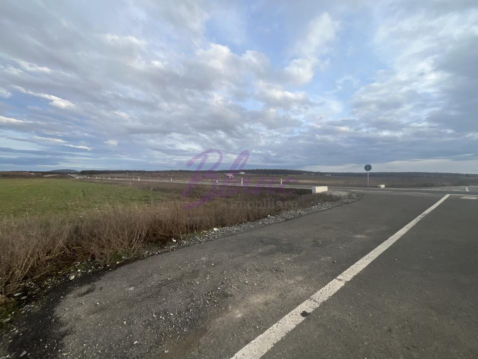 Teren 7481 mp, cu acces facil la Inelul Metropolitan