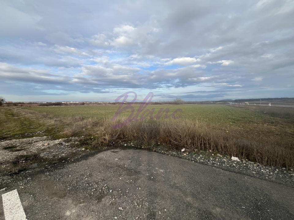 Teren 7481 mp, cu acces facil la Inelul Metropolitan