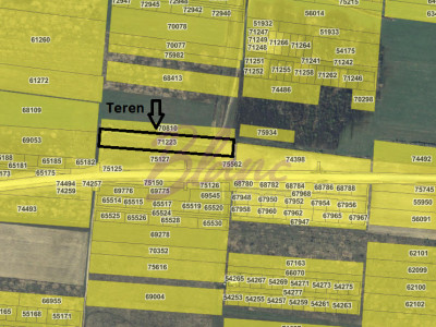 Teren 7481 mp, cu acces facil la Inelul Metropolitan