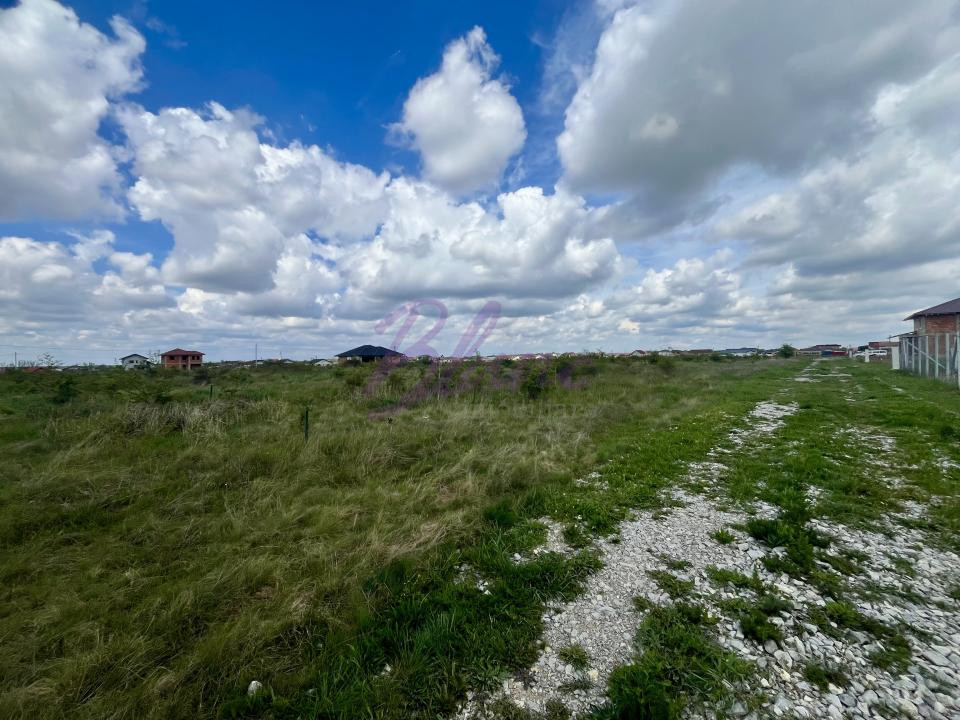 Teren 1000 mp, Cihei, pret atragator, zona inca neexploatata, aproape de centura