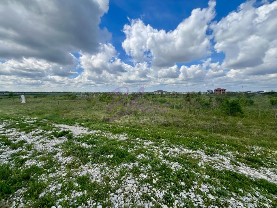 Teren 1000 mp, Cihei, pret atragator, zona inca neexploatata, aproape de centura