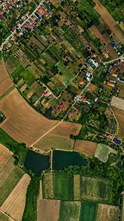 Teren cu pomi fructiferi , vie si loc de casa