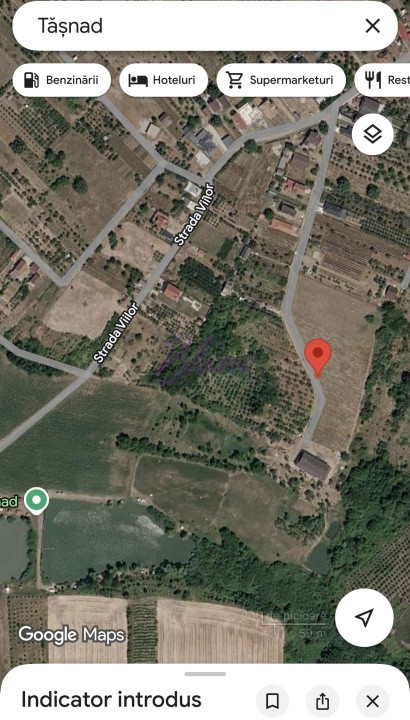 Teren cu pomi fructiferi , vie si loc de casa