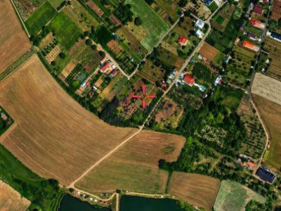 Teren cu pomi fructiferi , vie si loc de casa