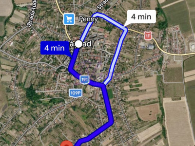 Teren cu pomi fructiferi , vie si loc de casa