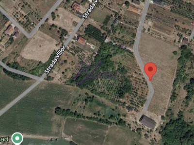 Teren cu pomi fructiferi , vie si loc de casa