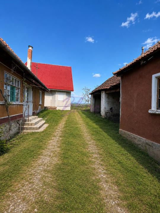 Casă P+ M, 5 camere de vânzare în Tilecuș (com. Tileagd), jud. Bihor