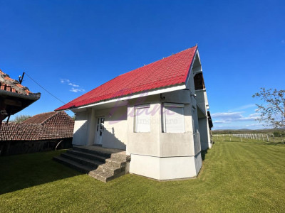 Casă P+ M, 5 camere de vânzare în Tilecuș (com. Tileagd), jud. Bihor