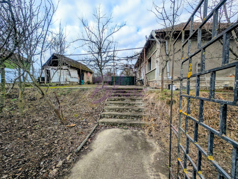 Hala de 250 mp cu Casa in Hodis