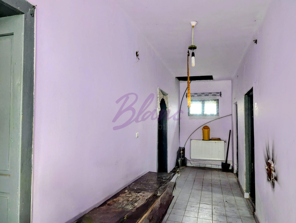 Hala de 250 mp cu Casa in Hodis