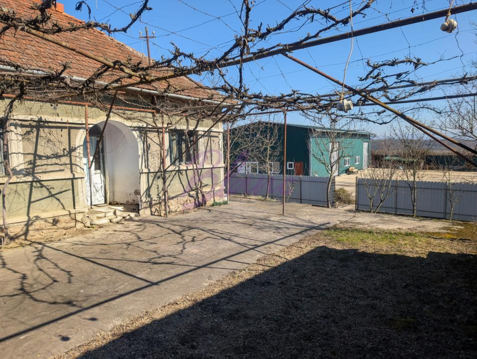 Casa cu hala de 250 mp in Hodis