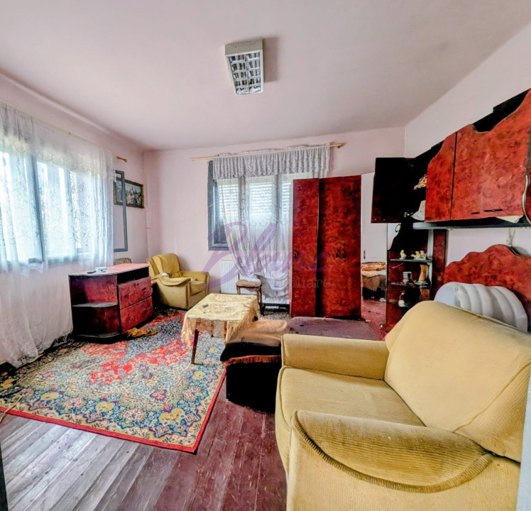 Casa cu hala de 250 mp in Hodis