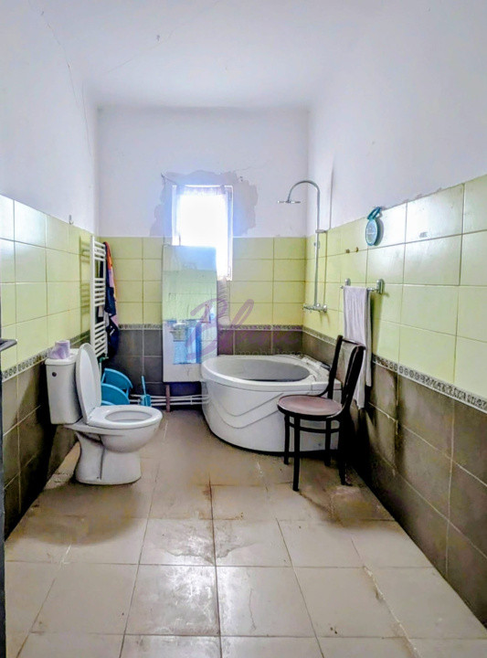 Casa cu hala de 250 mp in Hodis