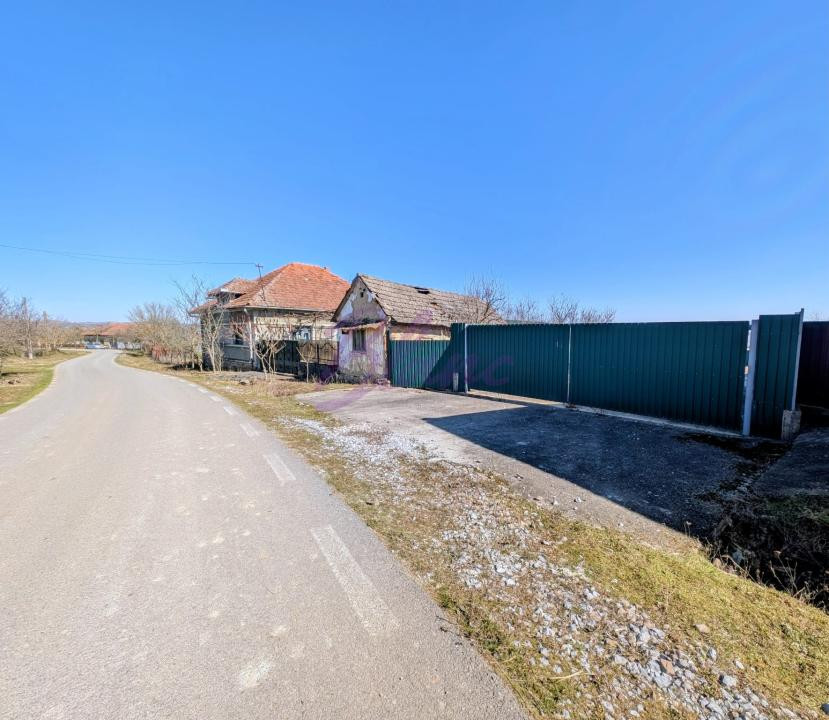 Casa cu hala de 250 mp in Hodis