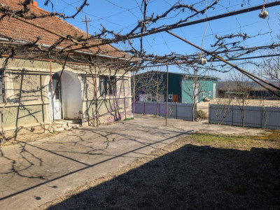 Casa cu hala de 250 mp in Hodis