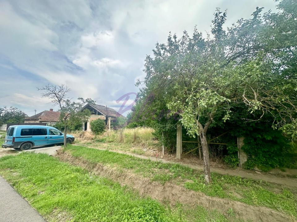 Teren intravilan 6.100 mp cu casă demolabilă – Șimian, jud. Bihor