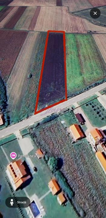 Teren extravilan 10.000 mp – Acâș, jud. Satu Mare