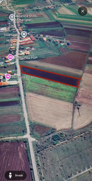 Teren extravilan 10.000 mp – Acâș, jud. Satu Mare