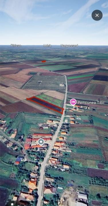 Teren extravilan 10.000 mp – Acâș, jud. Satu Mare
