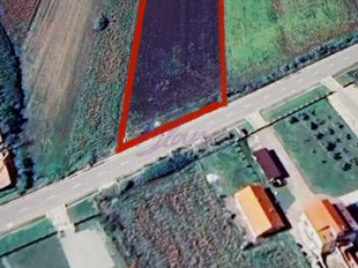 Teren extravilan 10.000 mp – Acâș, jud. Satu Mare