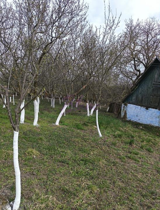  Casă de vânzare – Orbău, SM