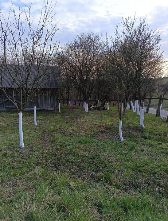  Casă de vânzare – Orbău, SM